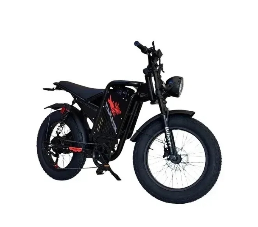 Купить Электрофетбайк Billgery Hamman HM-99070 двигатель 1000W (57 км/ч) 48V/18Ah  Фото 1