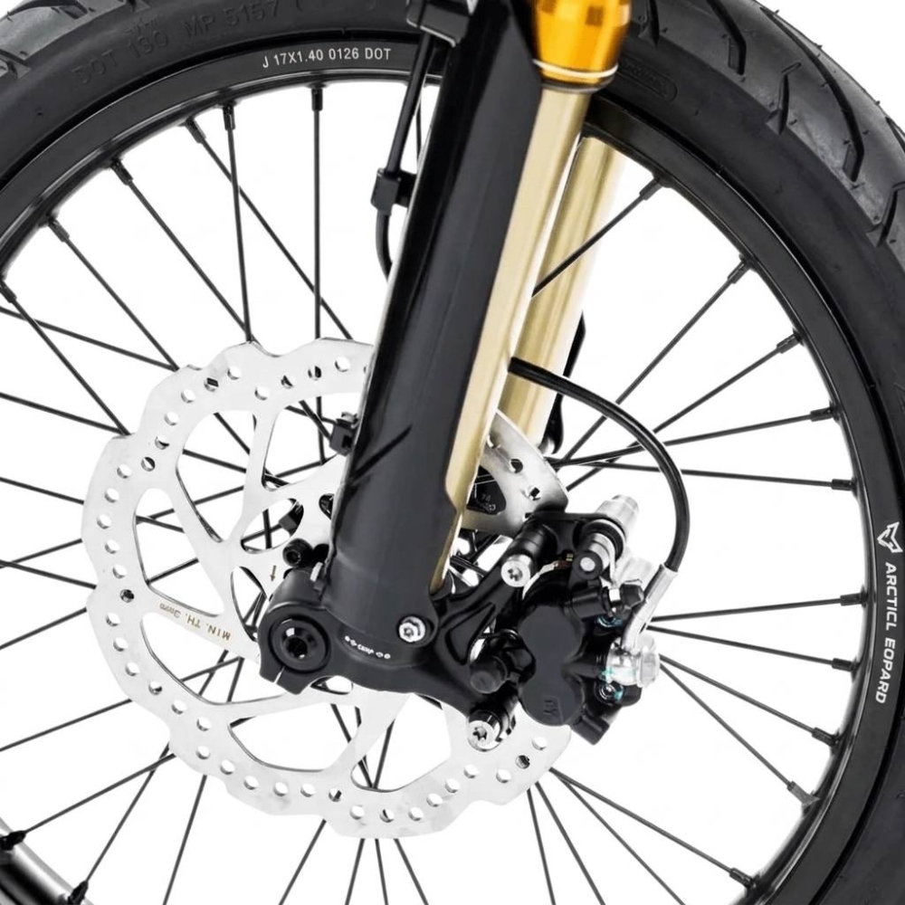 Купить Arctic Leopard Clouded XE PRO R Super Black GOLD SHOCK  Фото 7