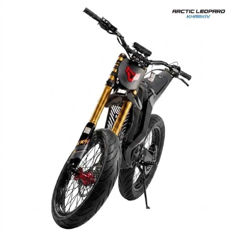 Купить Arctic Leopard Clouded XE PRO S SUPER L1E Black GOLD SHOCK  Фото 1
