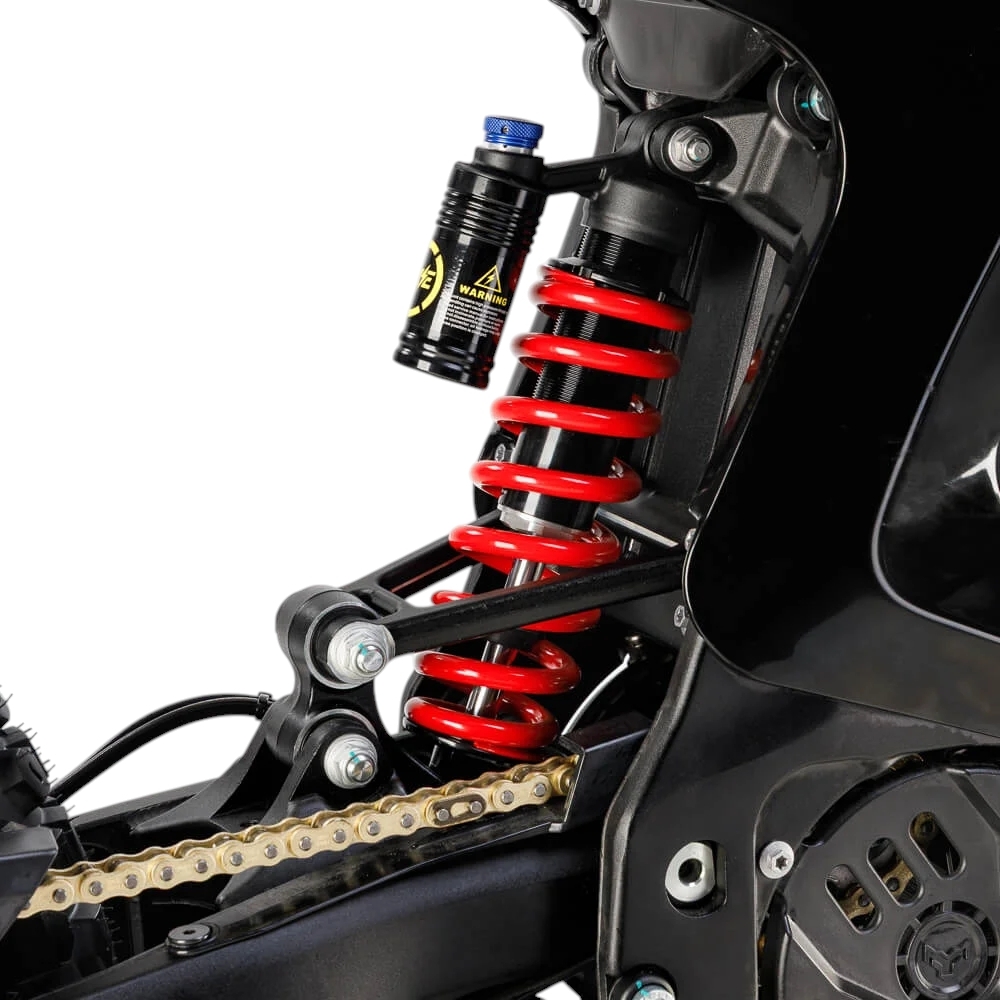 Купить Arctic Leopard Clouded XE PRO S L1E Black GOLD SHOCK  Фото 8