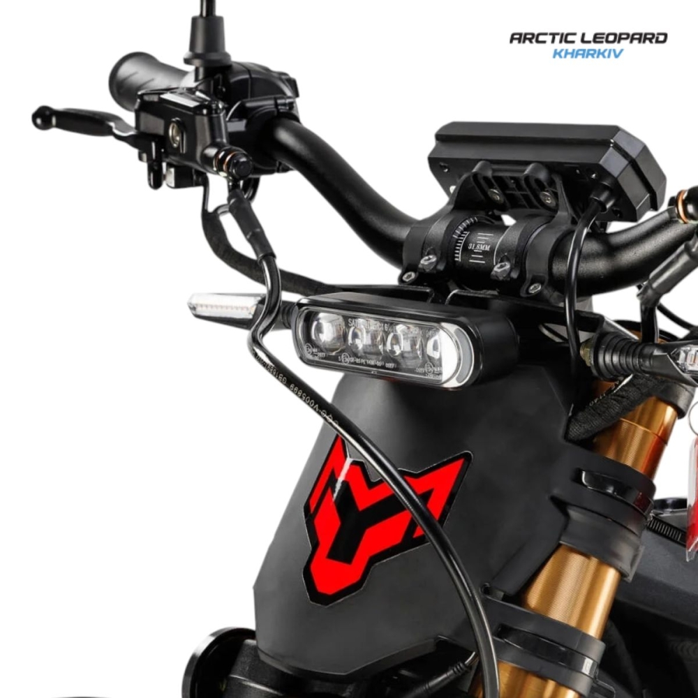 Купить Arctic Leopard Clouded XE PRO S L1E Black GOLD SHOCK  Фото 4