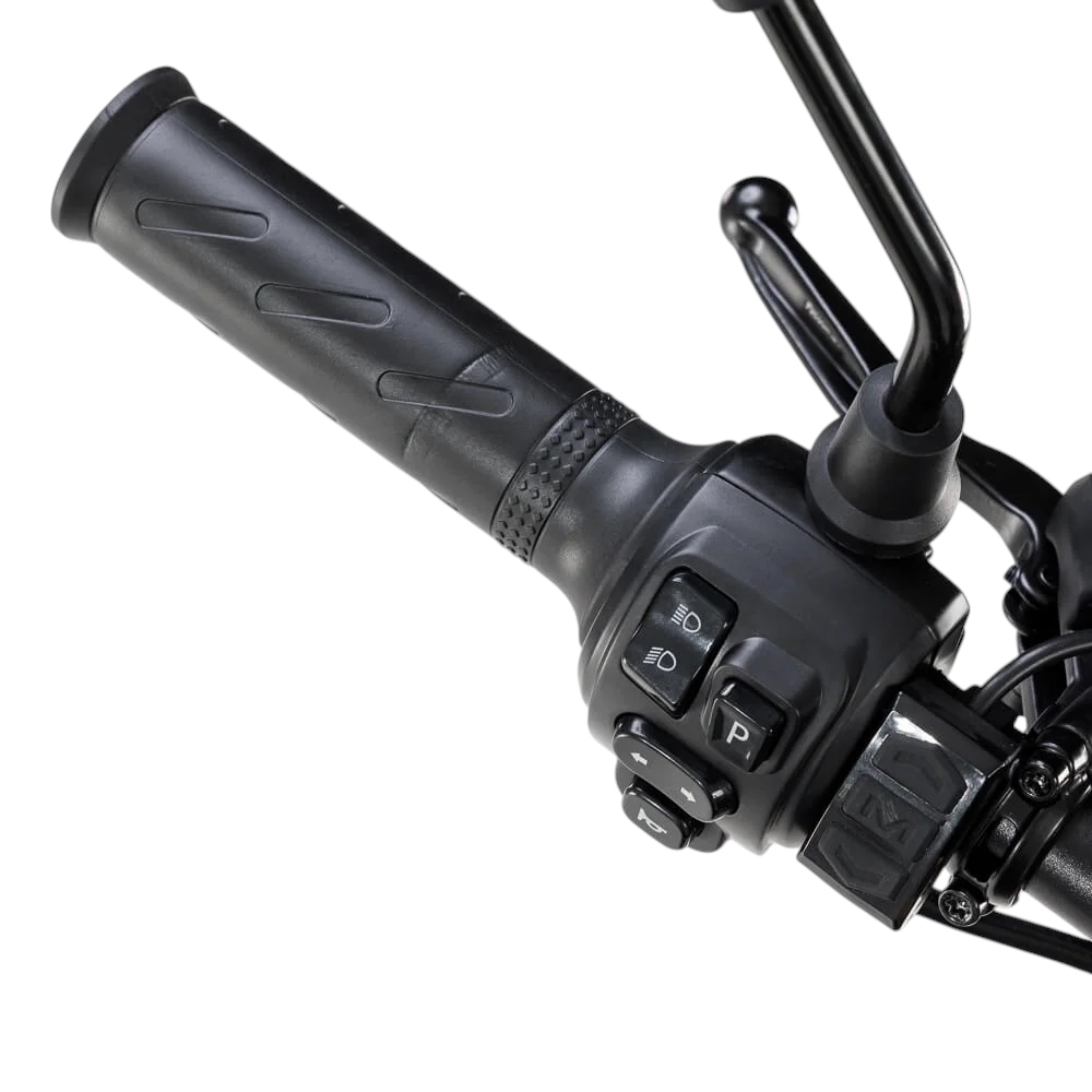 Купить Arctic Leopard Clouded XE PRO S L1E Black GOLD SHOCK  Фото 6