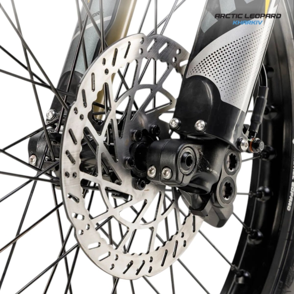 Купить Arctic Leopard Clouded XE PRO S ENDURO GREY GOLD SHOCK  Фото 6