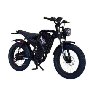 Електрофетбайк Billgery Hamman HM-99070 двигун 1000W (57 км/год) 48V/18Ah 