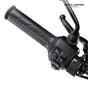 Купить Arctic Leopard Clouded XE PRO S L1E Black GOLD SHOCK  Фото 6