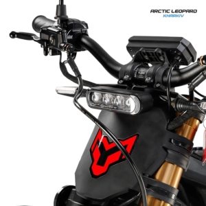 Купить Arctic Leopard Clouded XE PRO S L1E Black GOLD SHOCK  Фото 4