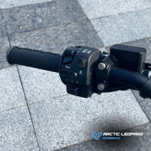 Купить Arctic Leopard Clouded XE PRO R GREY GOLD SHOCK  Фото 10