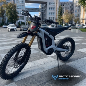 Arctic Leopard Clouded XE PRO R GREY GOLD SHOCK